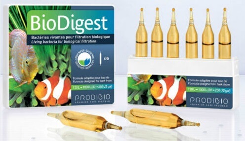 BioDigest.jpg
