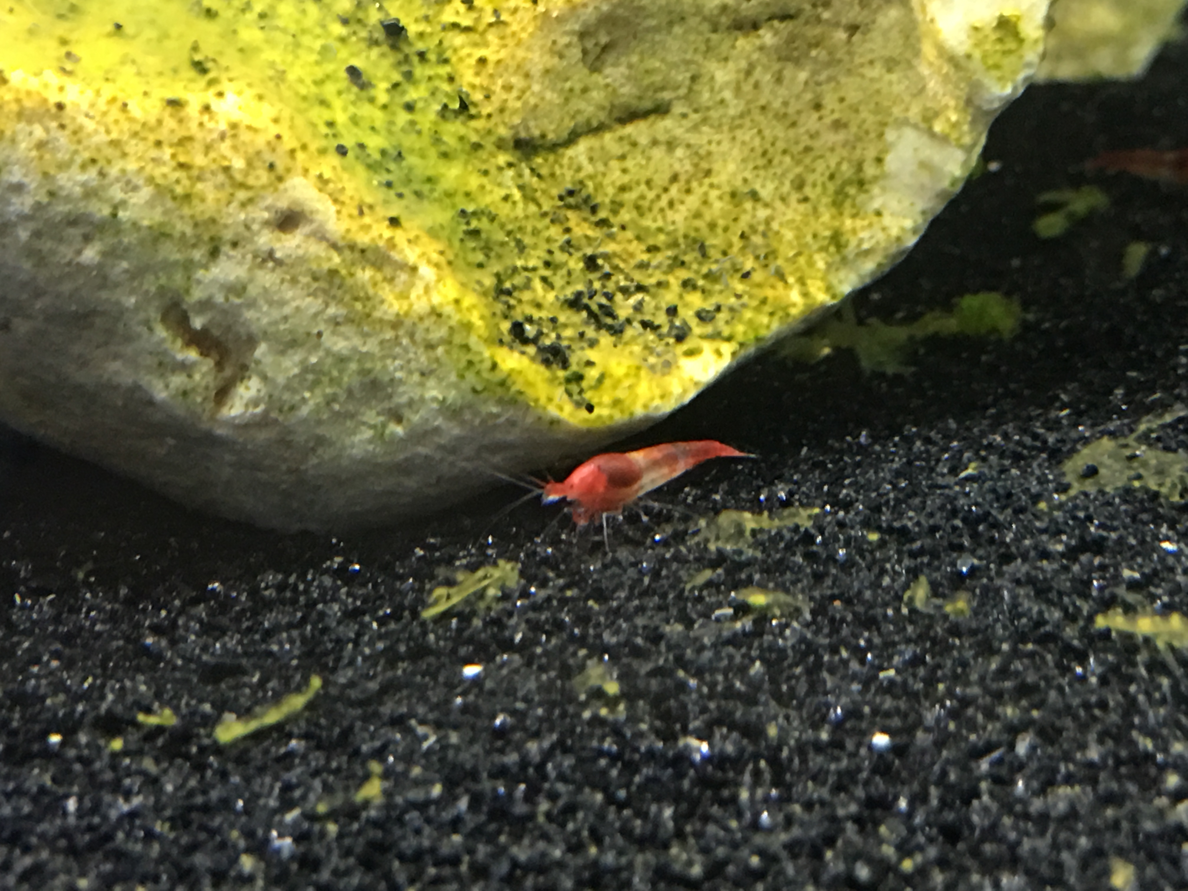 Photo 01-04-2016, 14 38 02.jpg