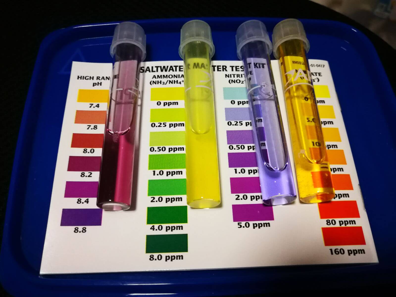 WhatsApp Image 2018-03-27 at 21.45.21.jpeg