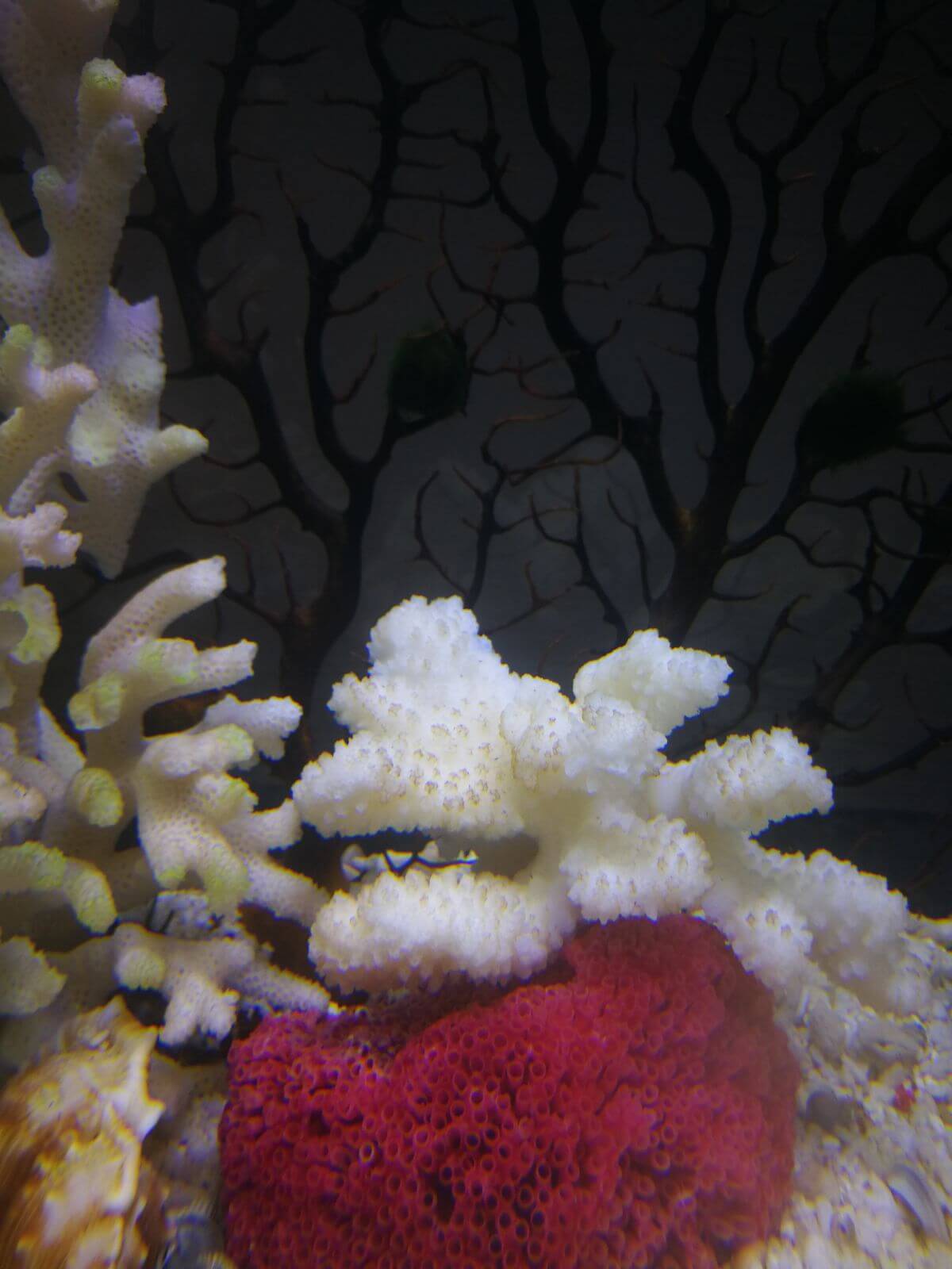 WhatsApp Image 2018-03-27 at 20.47.10 (1).jpeg