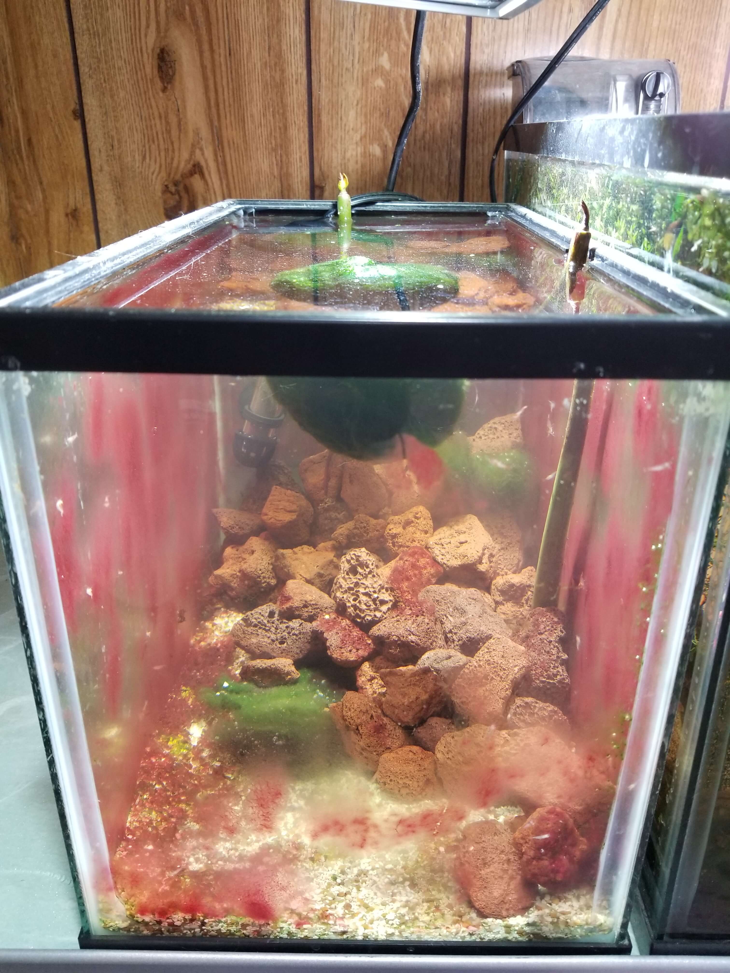 20180326_000907.jpg