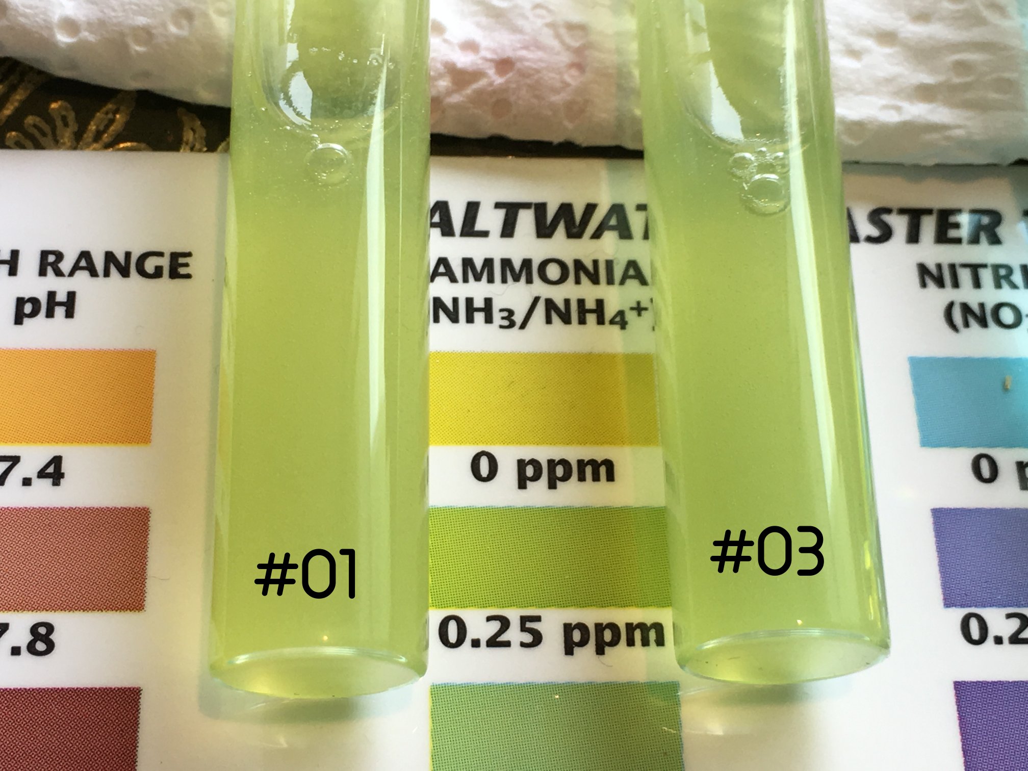 Photo 12-04-2016, 17 49 00.jpg