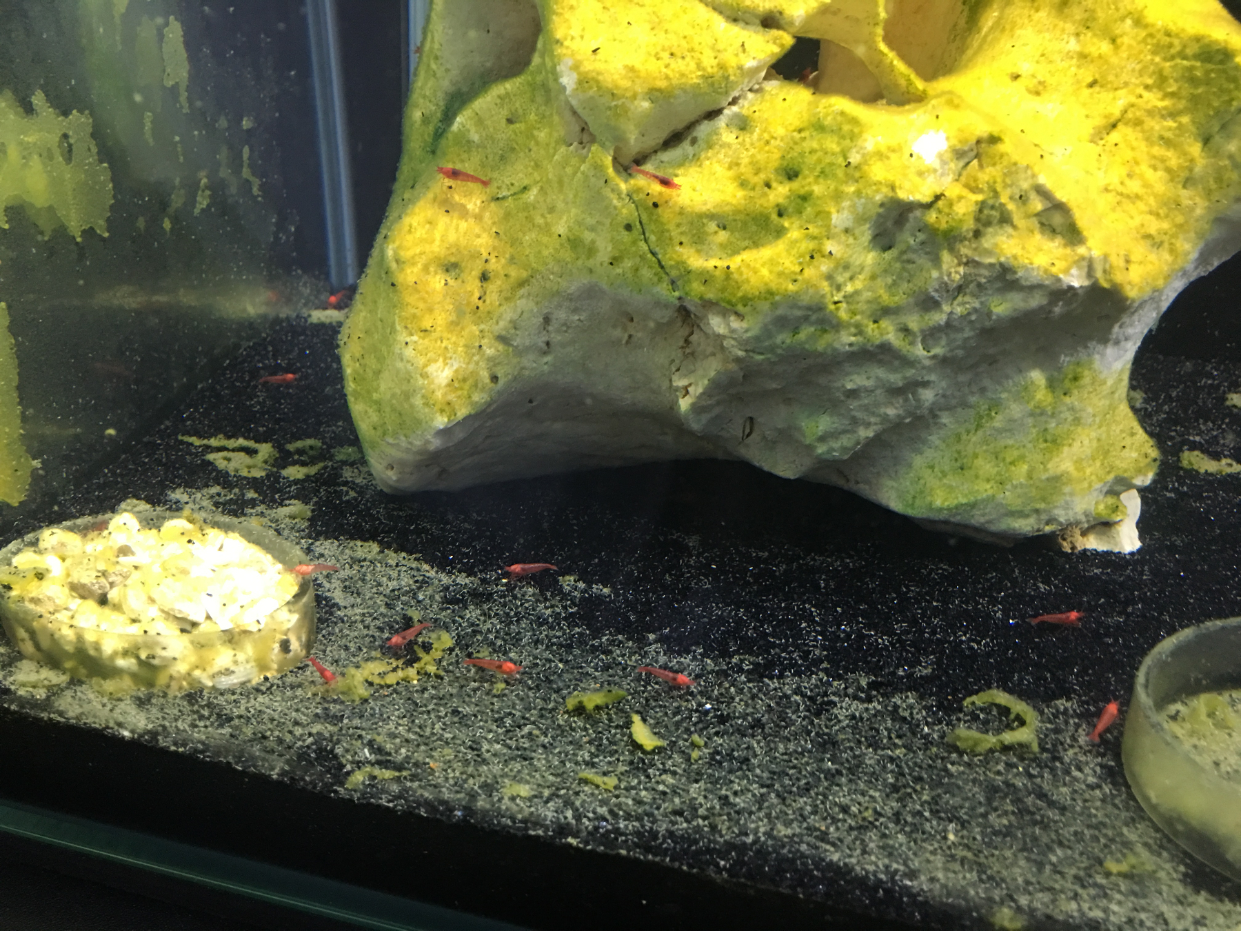 Photo 20-04-2016, 17 52 53.jpg