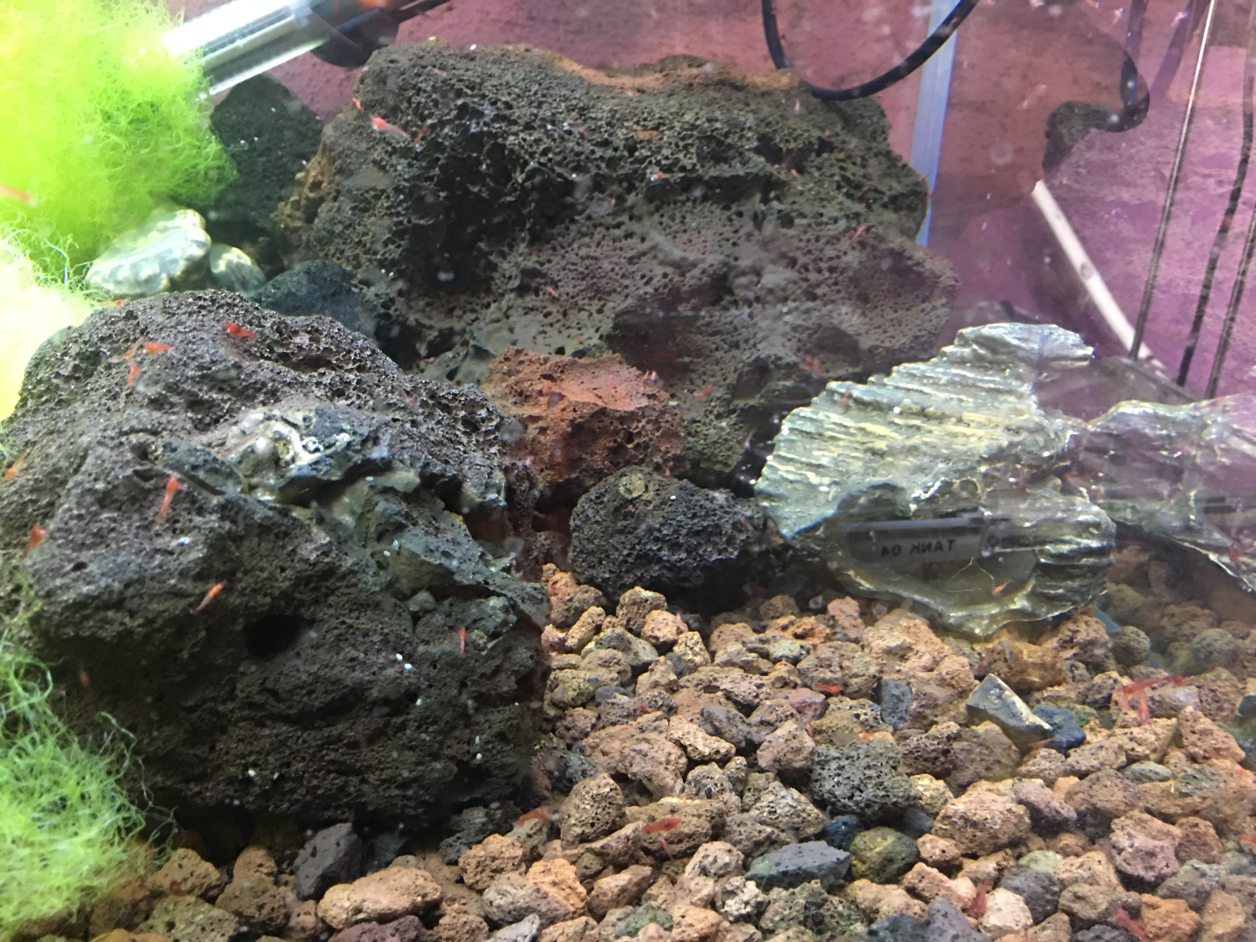 Photo 16-11-2018, 20 40 20.jpg