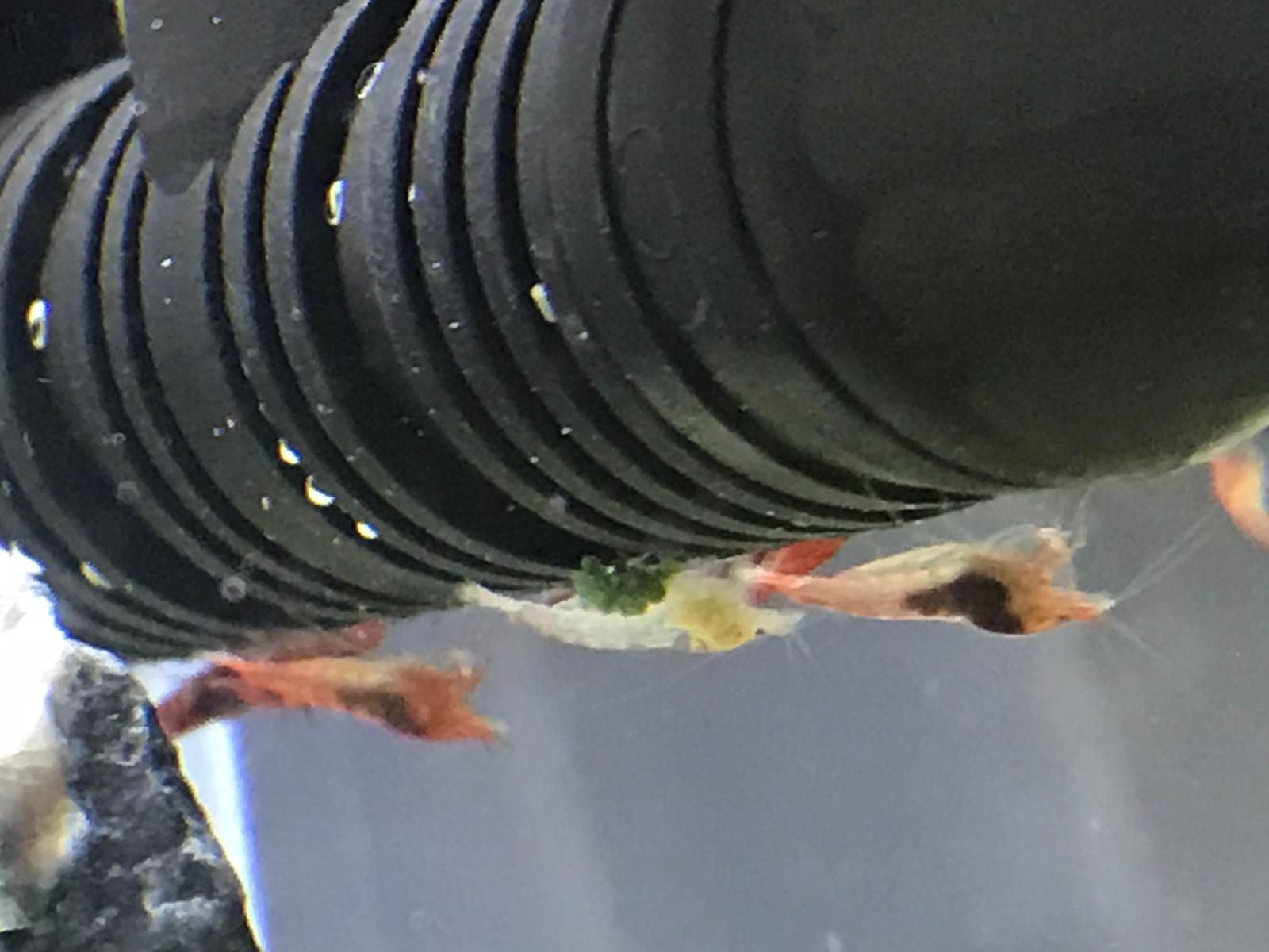 WhatsApp Image 2019-03-02 at 13.49.52.jpeg