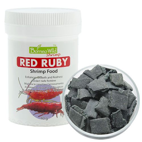 Red_Ruby__46238.1382065053.1280.1280.jpg