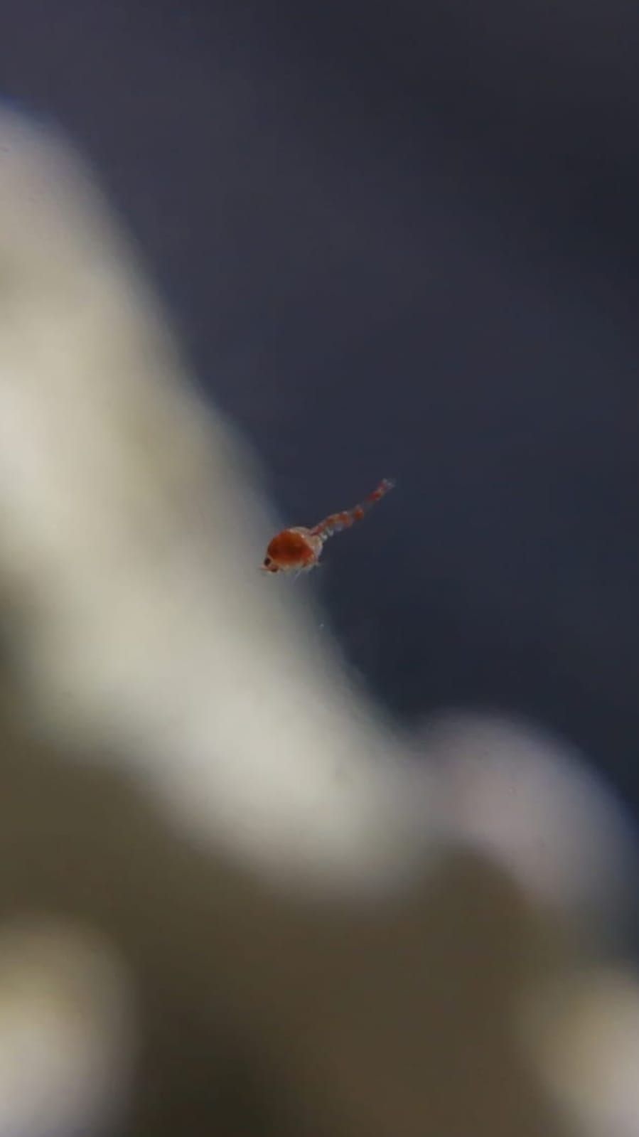 WhatsApp Image 2019-05-05 at 07.44.11.jpeg