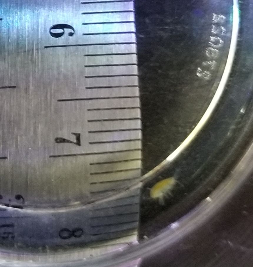 20191005_161534.jpg