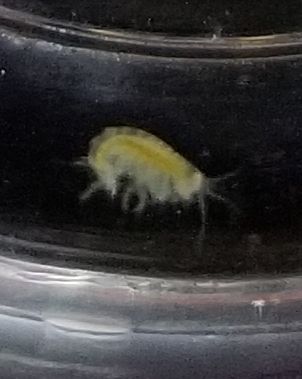 20191005_161606.jpg
