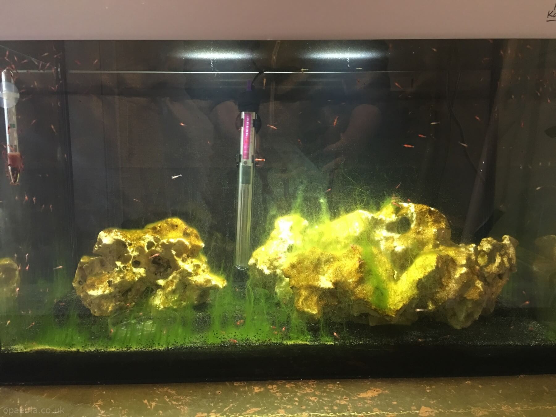 Photo 22-05-2016, 19 29 34.jpg