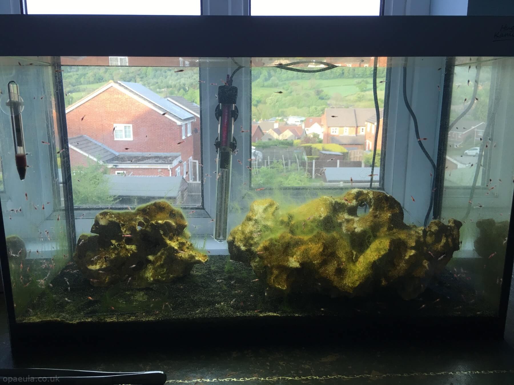 Photo 22-05-2016, 20 00 51.jpg