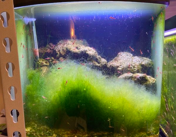 Screen Shot 2020-01-20 at 1.25.47 PM.png