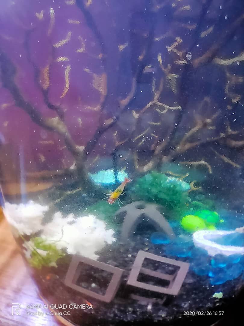 WhatsApp Image 2020-02-26 at 4.57.58 PM.jpeg