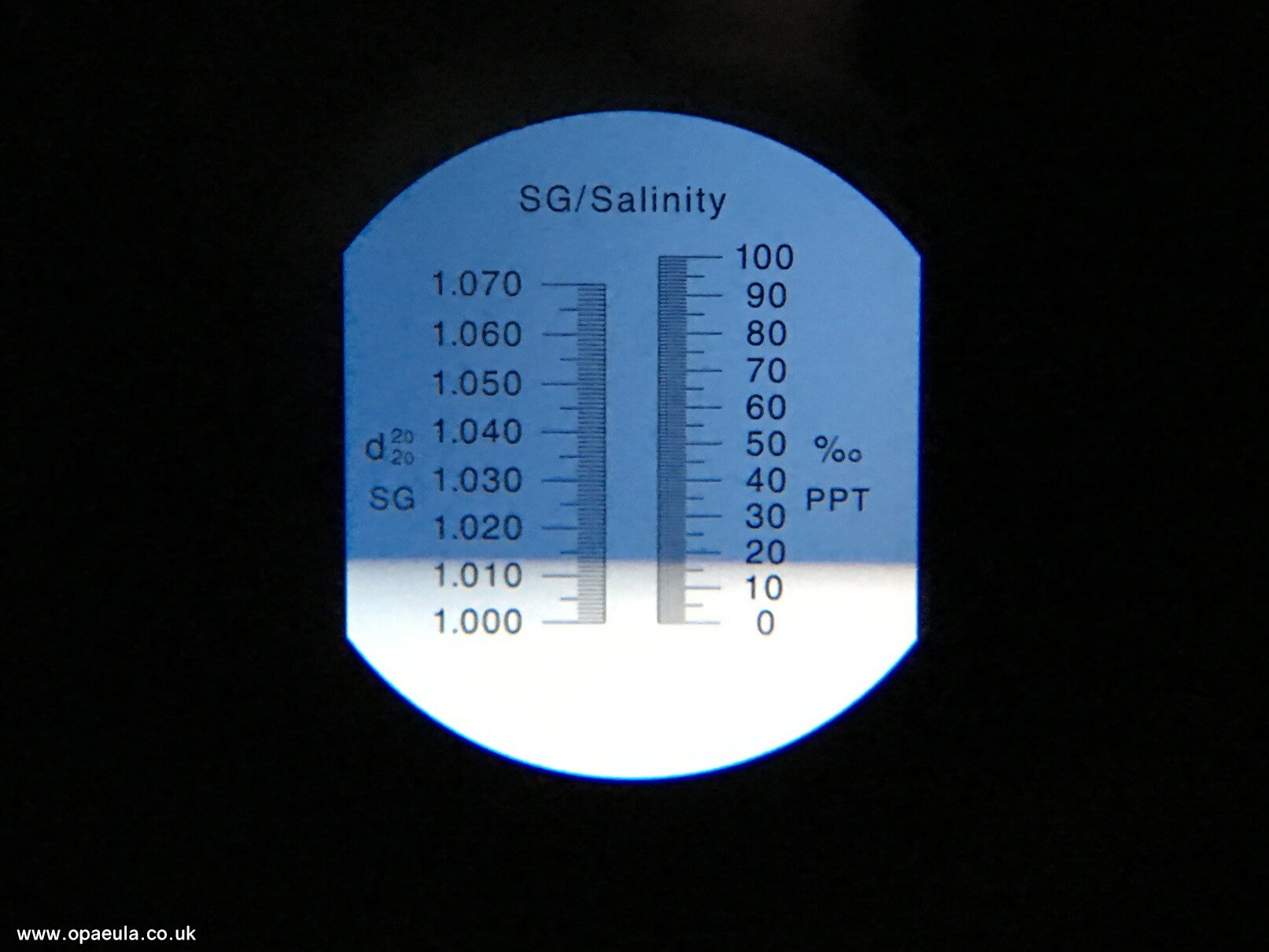 Photo 02-06-2016, 18 06 57.jpg