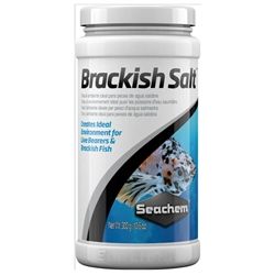 brackish.jpg