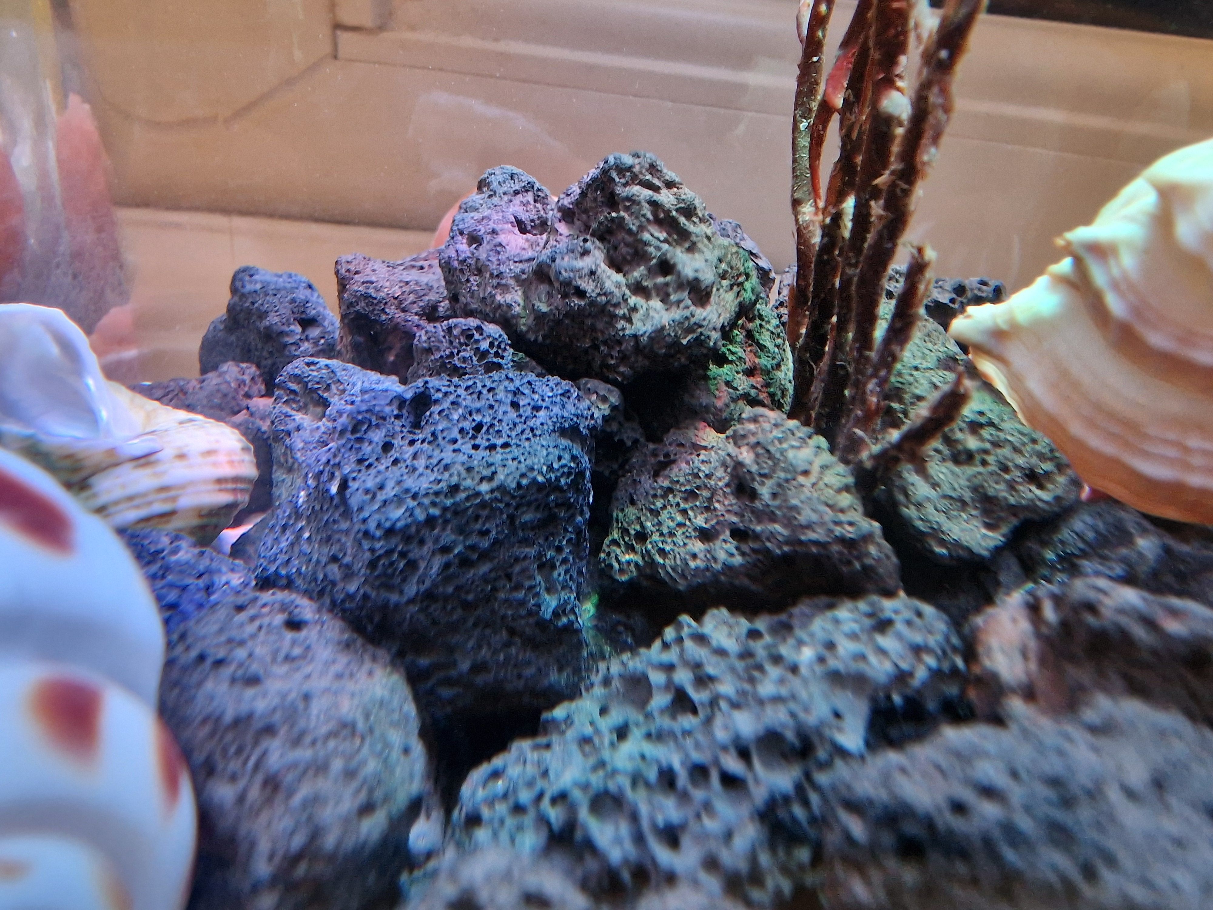20251022_184815.jpg