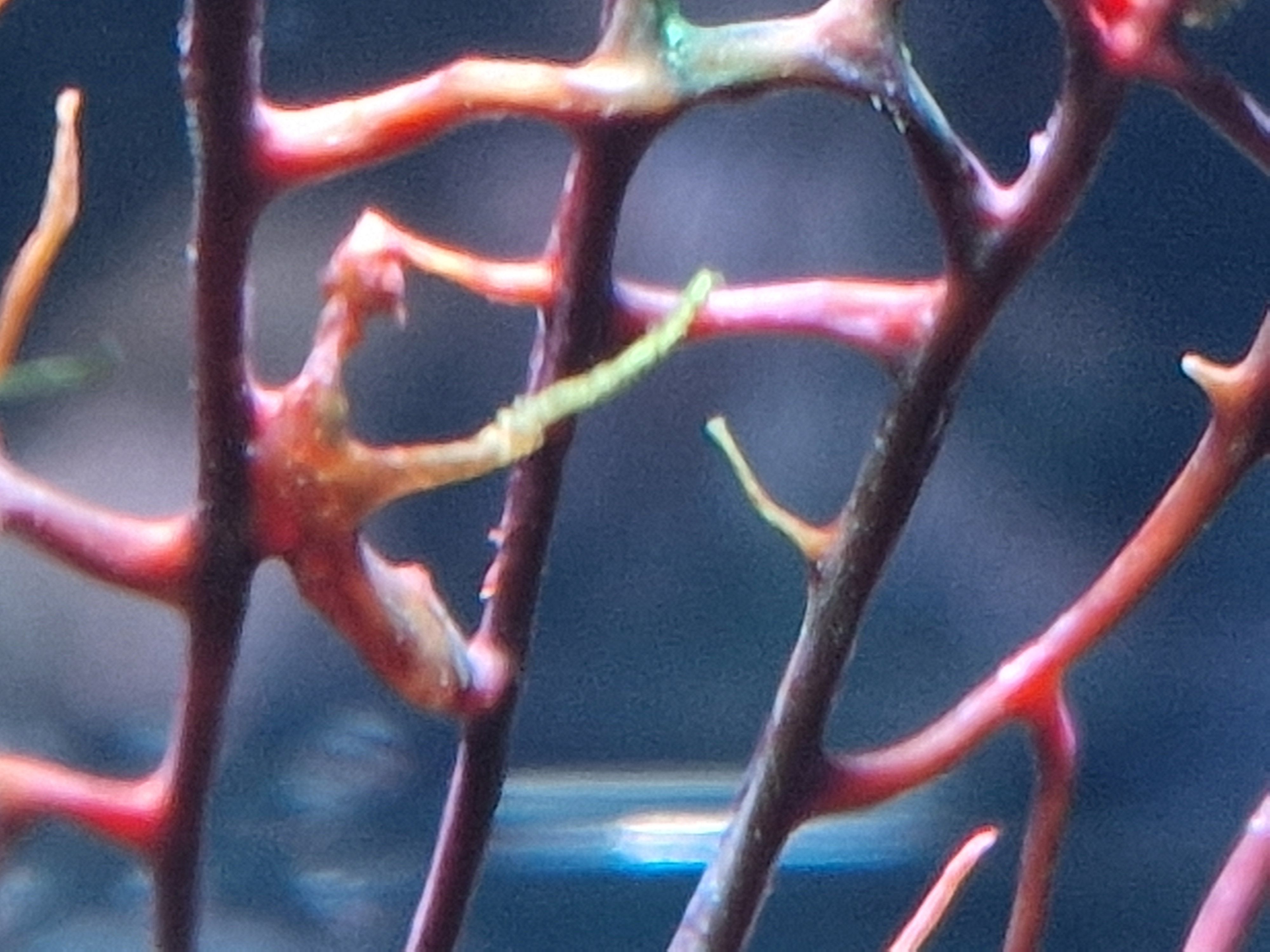 20251027_024747.jpg