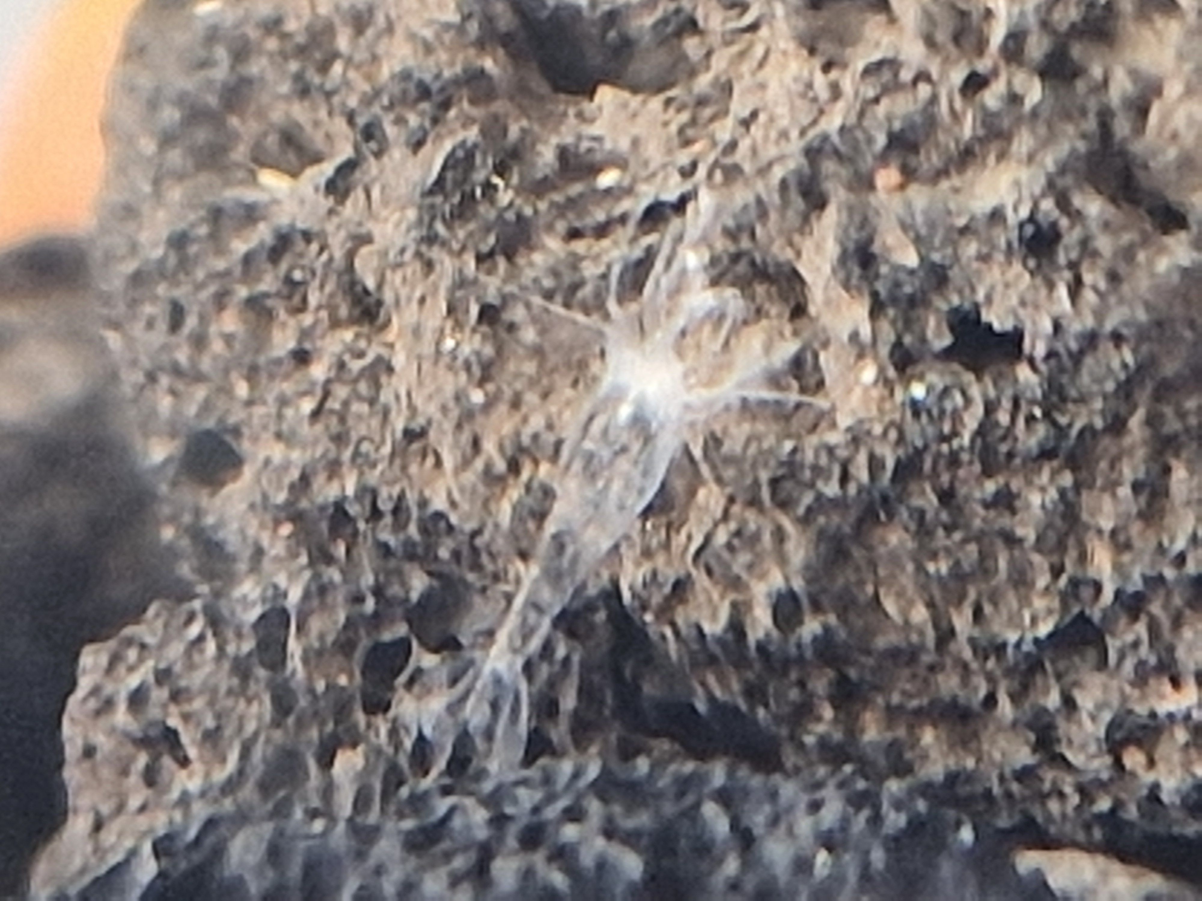 20251027_120423.jpg